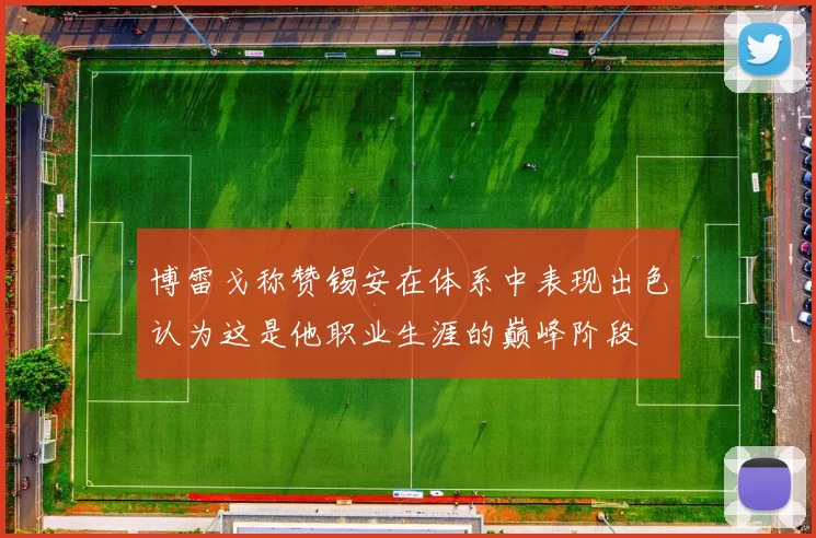 博雷戈称赞锡安在体系中表现出色认为这是他职业生涯的巅峰阶段