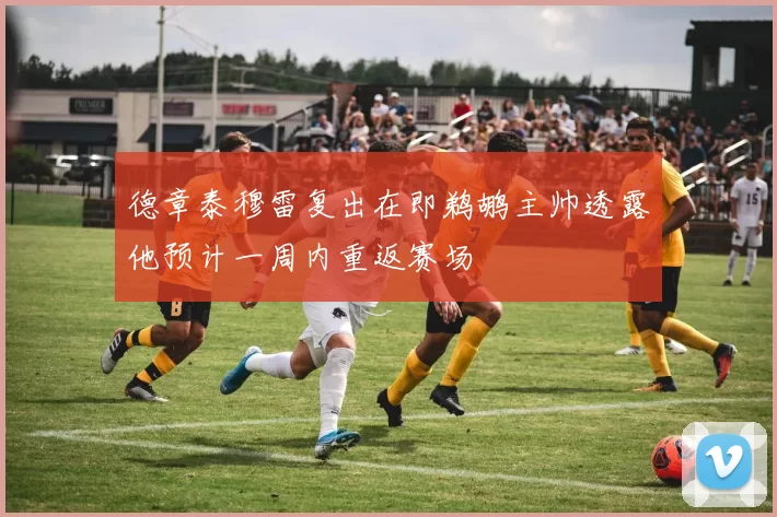 德章泰穆雷复出在即鹈鹕主帅透露他预计一周内重返赛场